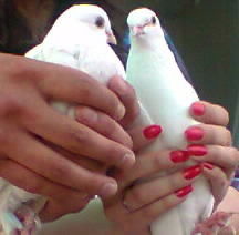 Алия Алгужинова