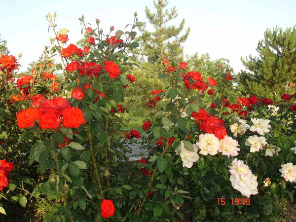 Борис Воеводин