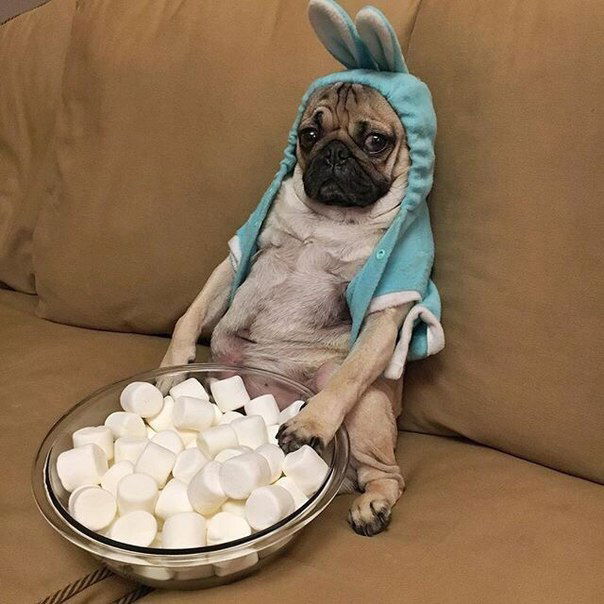 Юлия Волкова