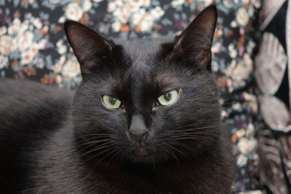 Екатерина Горбунова