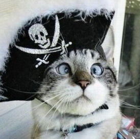 Олег Выприцких