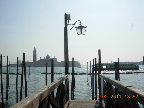 Елена Куприянова