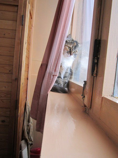 Ирина Назаренко