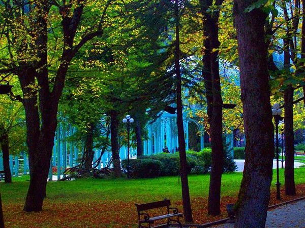 Тамази Мчедлишвили