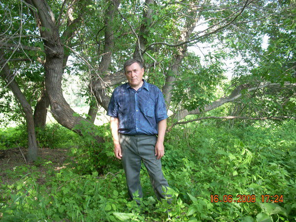 Владимир Пихтовников