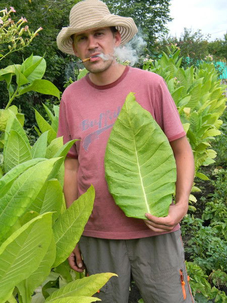 Иван Кашков