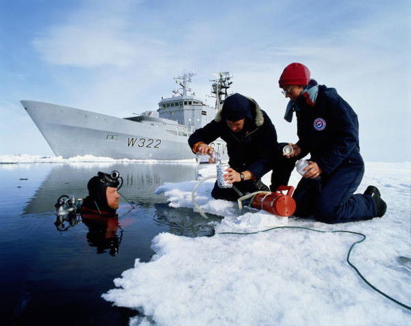 Камиль Ниязов