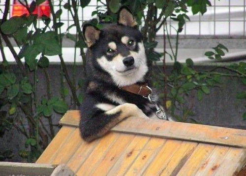 Ольга Силаева