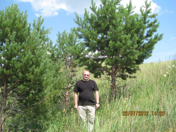 Максим Тарасов