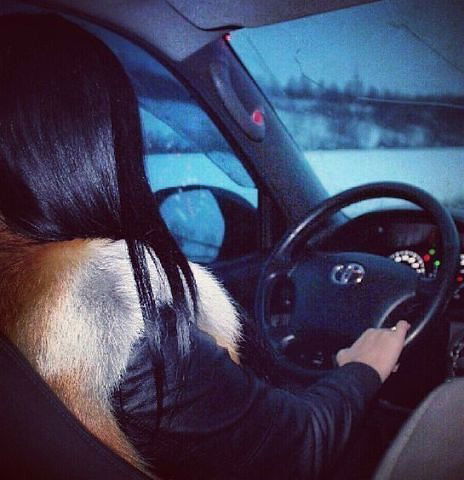 *** Бандитка***