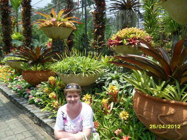 Елена Елькина