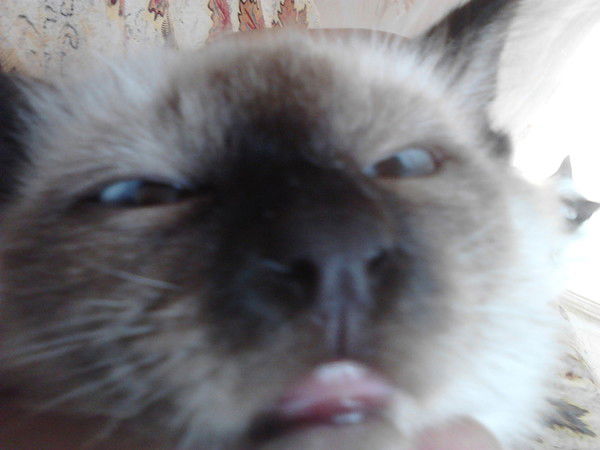 Сергей Зубенко