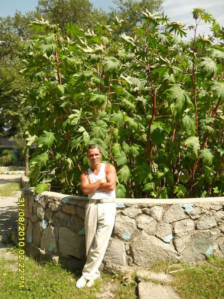 Роман Ларюшкин