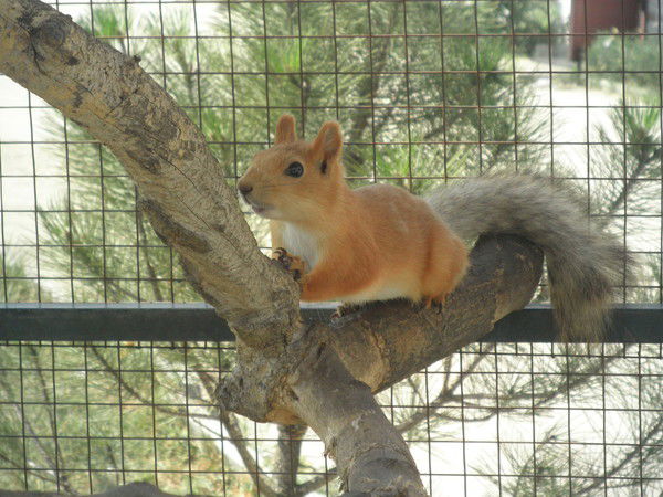 Ольга Малеева