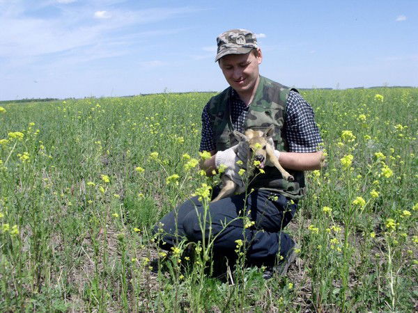 Евгений Скворцов