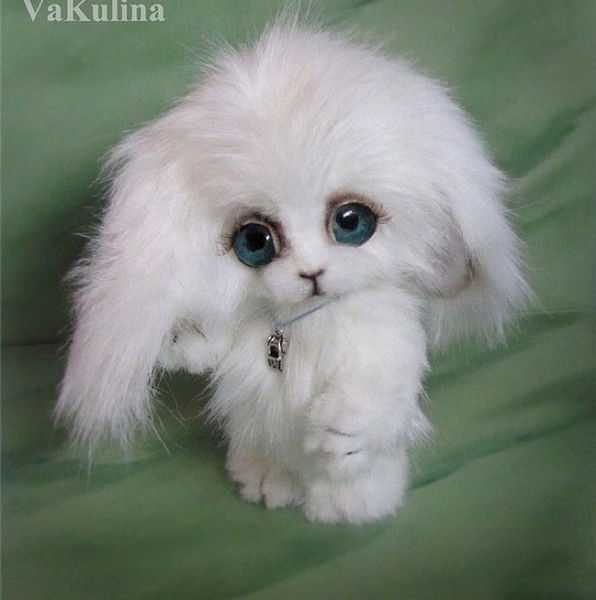 Галина Конфетка