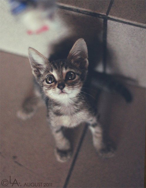 Настя Маркова