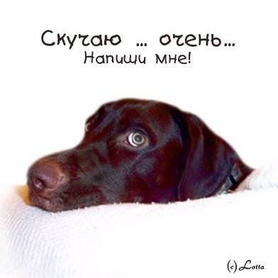 Ак-47 Кендра Чика