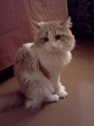 Маша Марчук