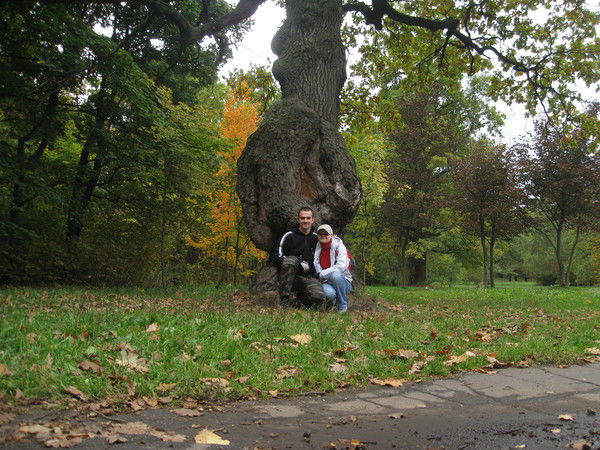 Александр Надеждинский