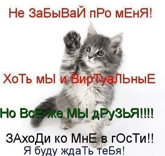 Перепелица Ярослав