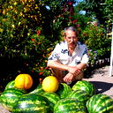 Леонид Попиневский