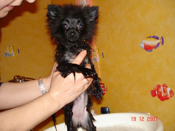 Николай Антропов