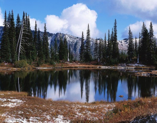 Виталик Макаров