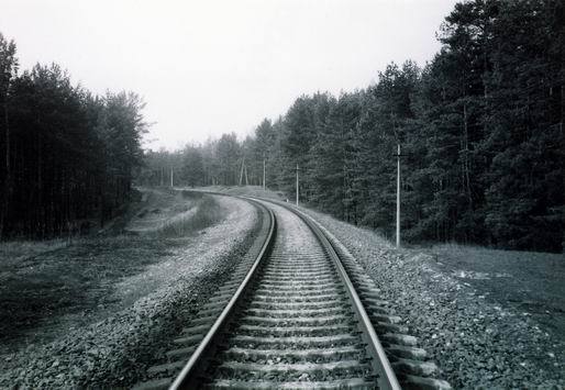 Zhenisbek Rismambetov