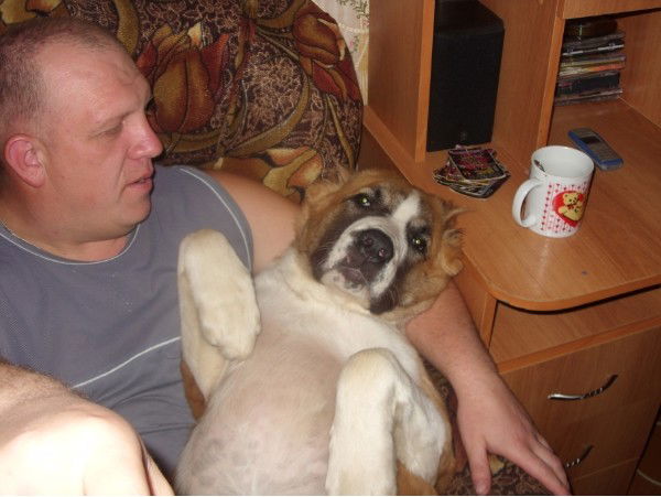 Володя Андреев