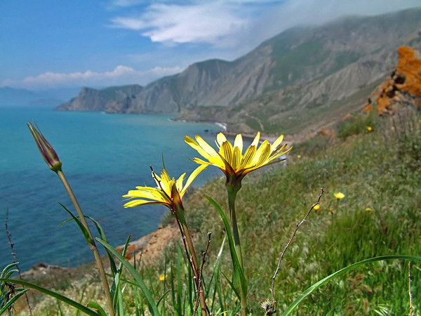 Танковская Школа