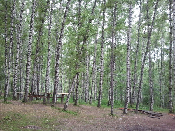 Слухия Куанова