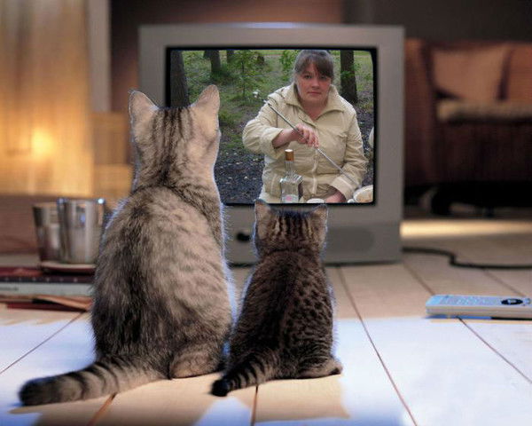 Светлана Ряполова