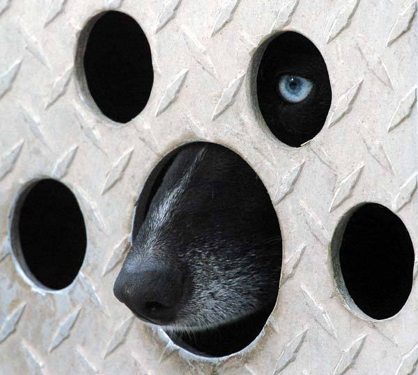 Константин Савичев