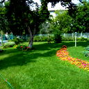 Безносова Елена