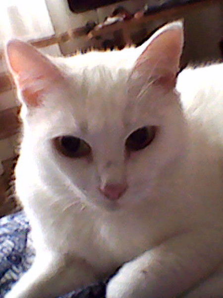 Валентина Мухина