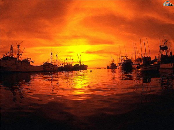 Анатолий Шамаров