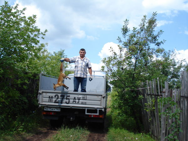 Алексей Касенков