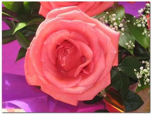 Валентина Николаева