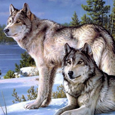 Софочка Самборська