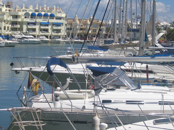 Алина Шахлай