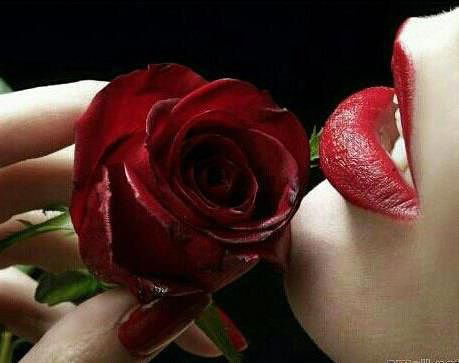 Марина Н-М-Н