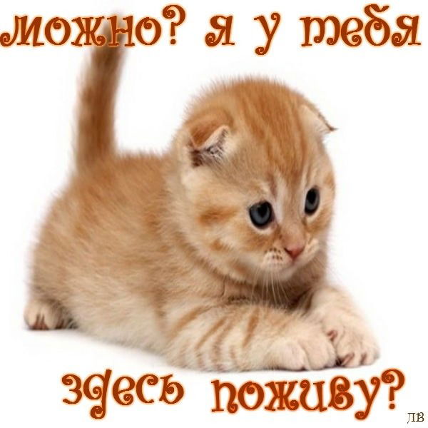 Ризаля Ахмадиева