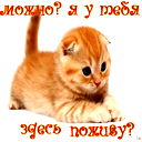 Ризаля Ахмадиева