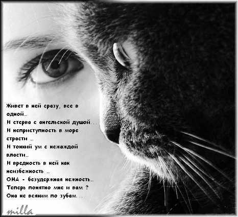 Евгения Короткова