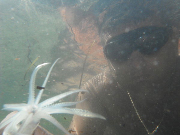 Алексей Антонов