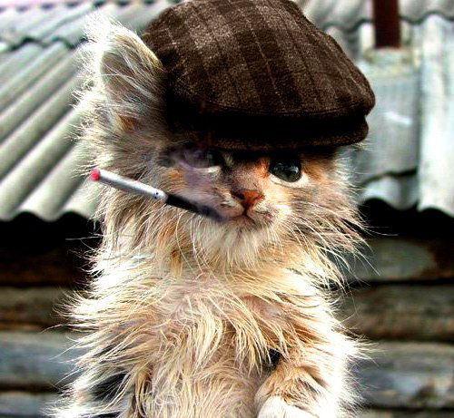 Алексей Пааль