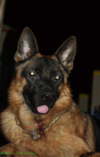 Ирина Кукина