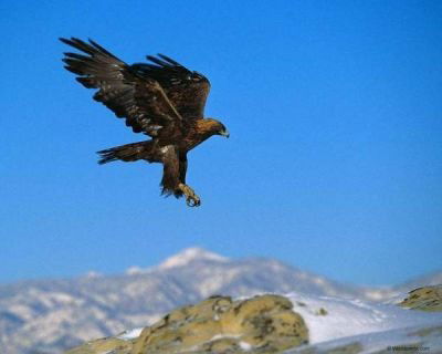 Тагабай Касымов