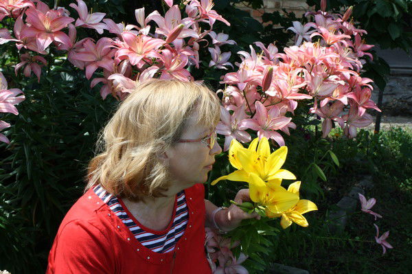 Елена Мироненко